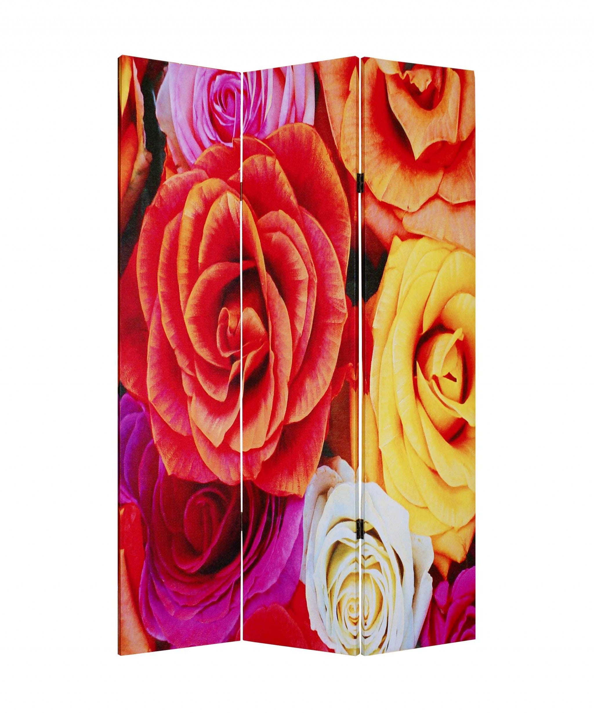 1" x 48" x 72" Multi Color Wood Canvas Daisy And Rose  Screen