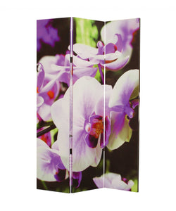 1" x 48" x 72" Multi Color Wood Canvas Orchid  Screen