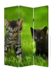 1" x 48" x 72" Multi Color Wood Canvas Curious Cat  Screen