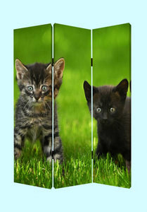 1" x 48" x 72" Multi Color Wood Canvas Curious Cat  Screen