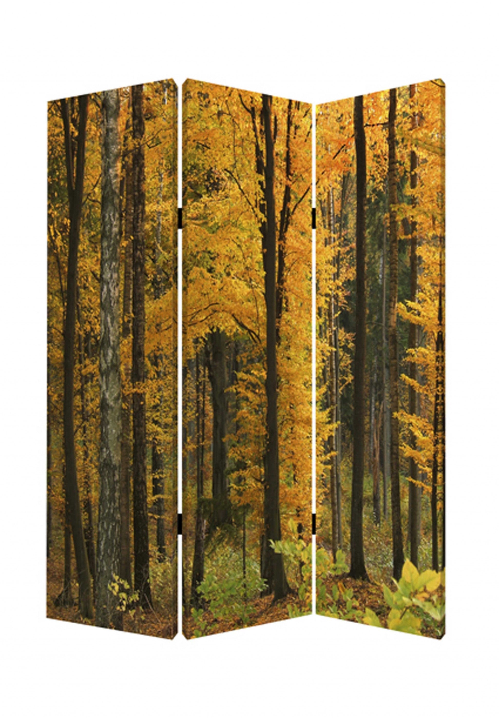 1" x 48" x 72" Multi Color Wood Canvas Autumn Journey  Screen