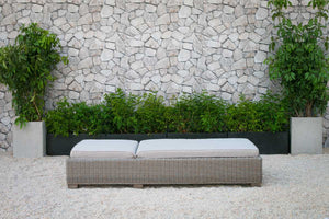 Outdoor Wicker Sunbed