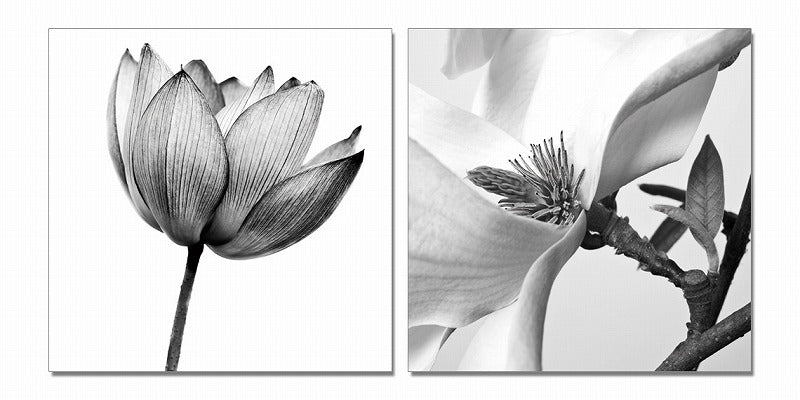 24" Black and White Canvas 2 Panels Photo