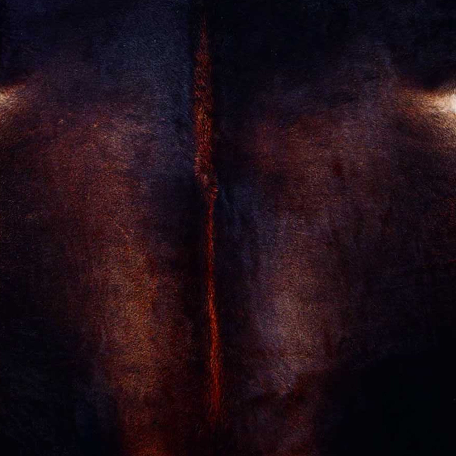 72" x 84" Black and White, Cowhide - Rug