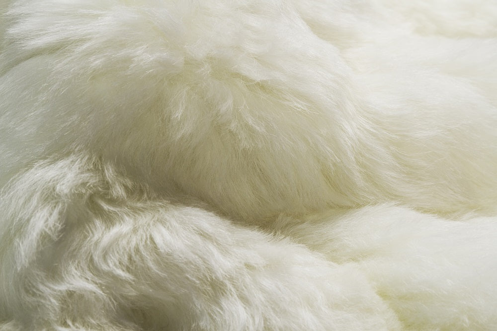 24" x 36" x 2" White Sheepskin Single Short-Haired - Area Rug
