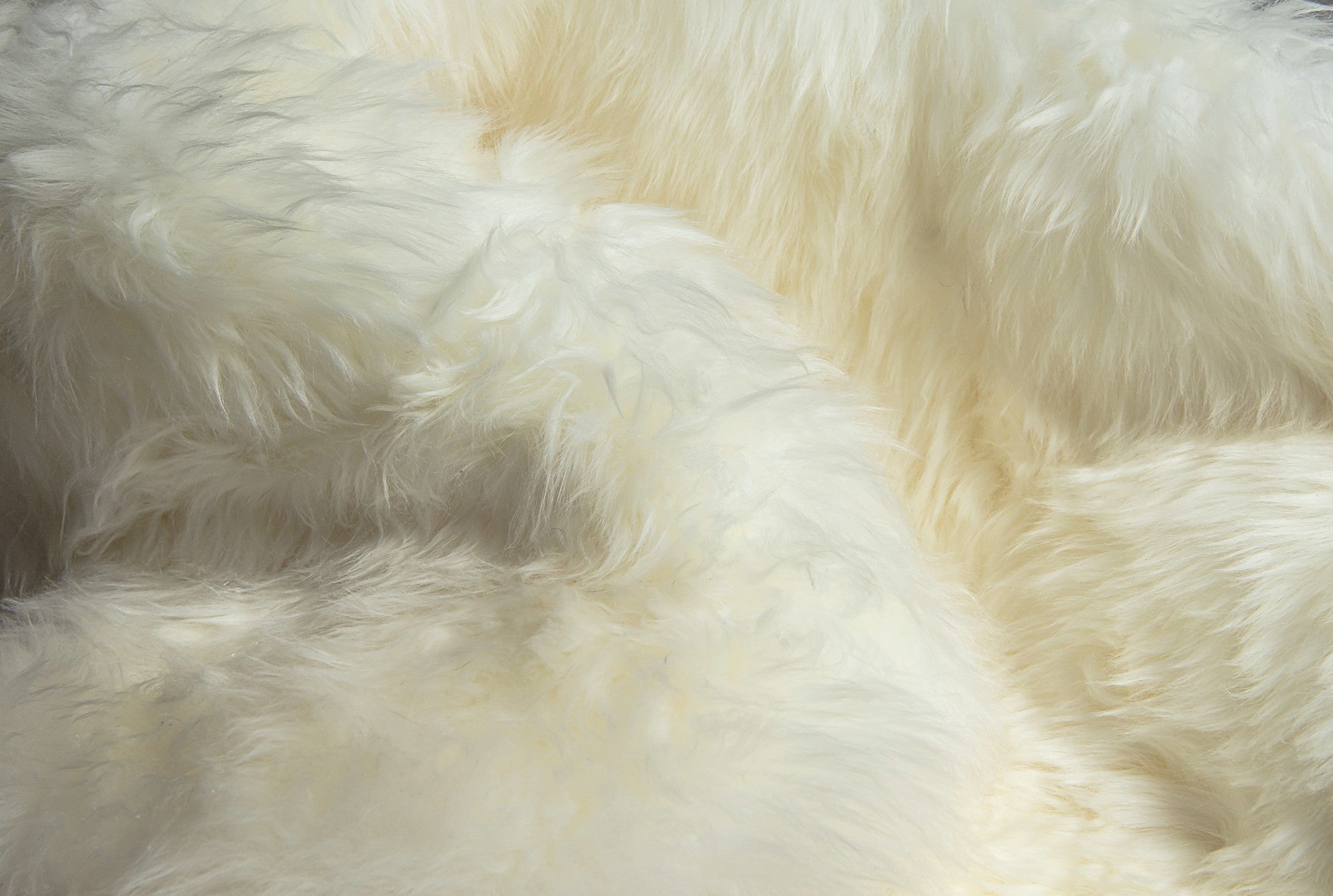 2' x 3'  Natural New Zealand Sheepskin Wool Area Rug in White