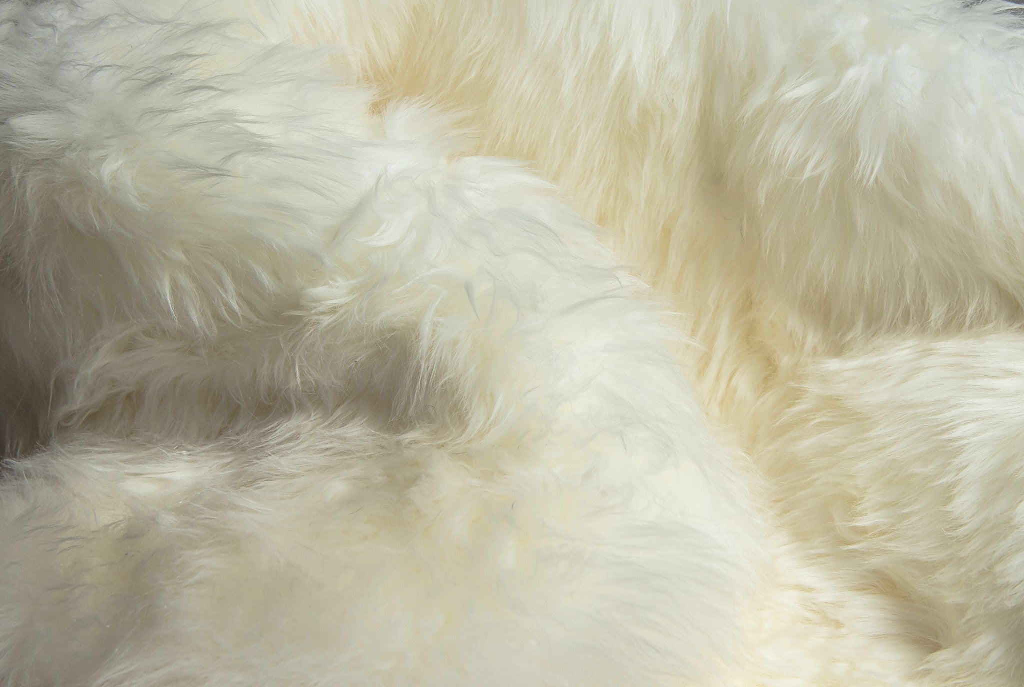 48" x 72" x 2" Natural, Sheepskin - Area Rug
