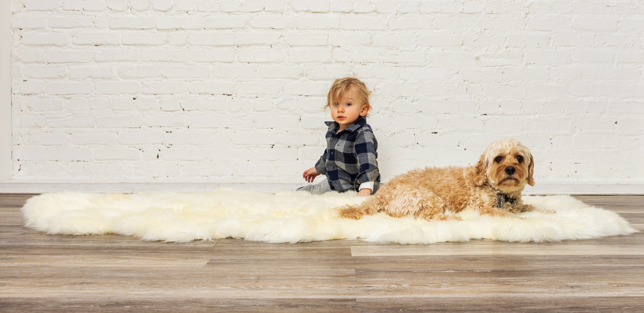 48" x 72" x 2" Natural, Sheepskin - Area Rug