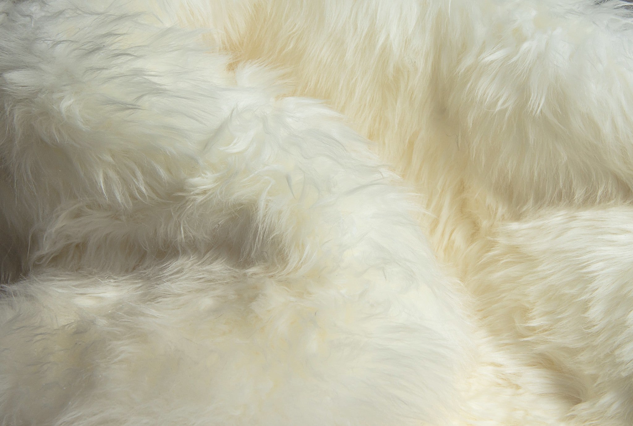 72" x 72" x 2" Natural, Sheepskin - Area Rug