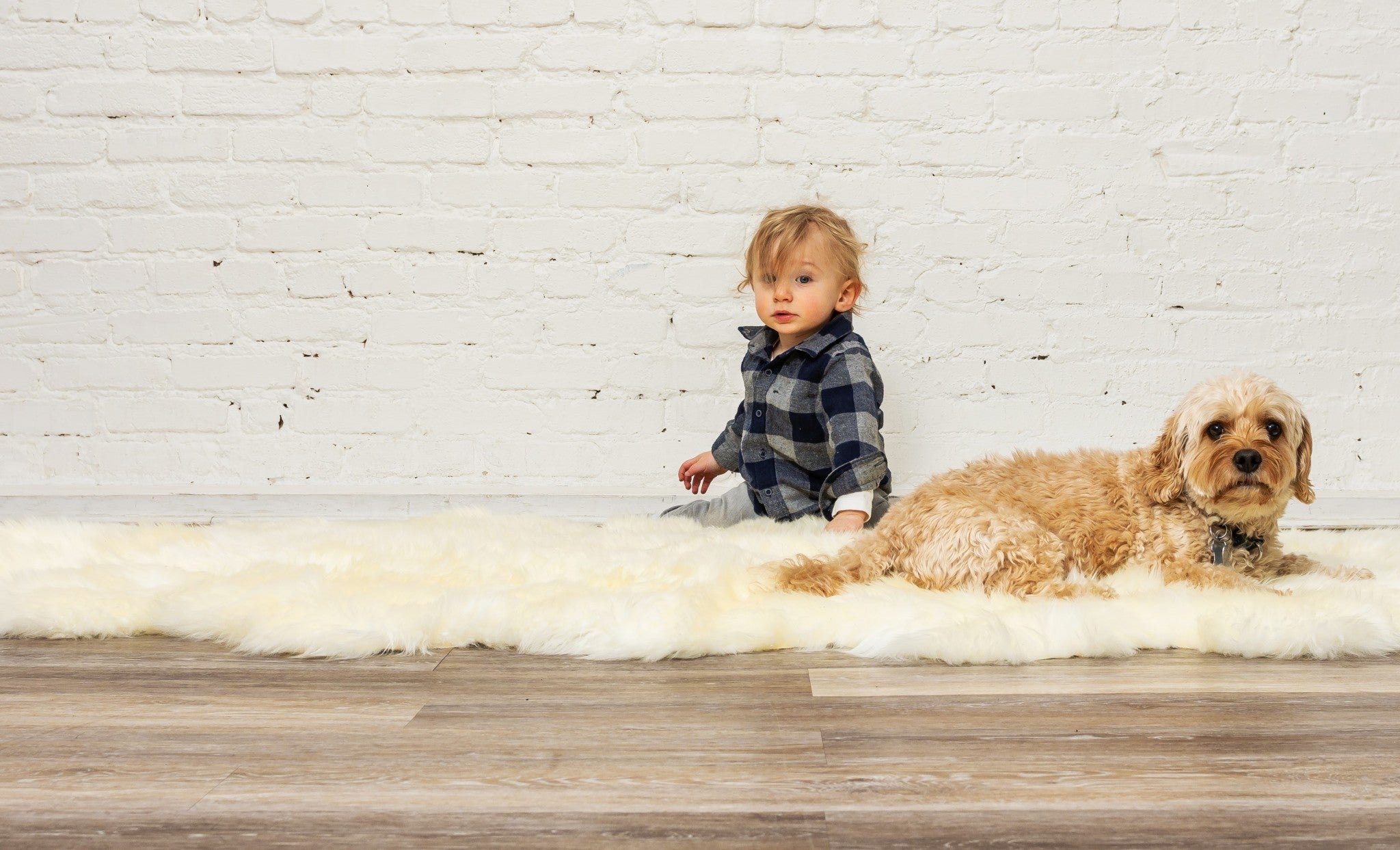 72" x 72" x 2" Natural, Sheepskin - Area Rug