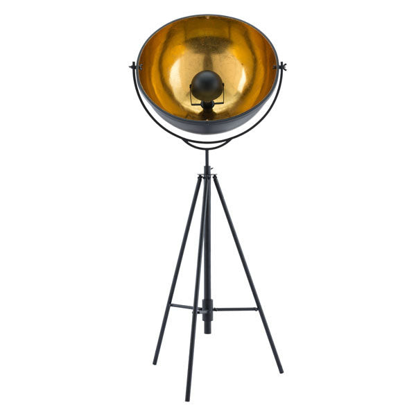 17.7" X 17.7" X 70" Phoenix Floor Lamp