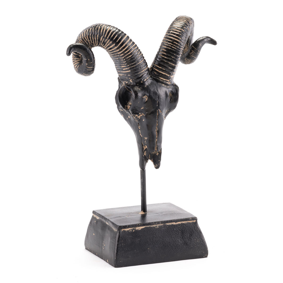 6.9" x 3.3" x 10.2" Black, Polyresin, Antilope