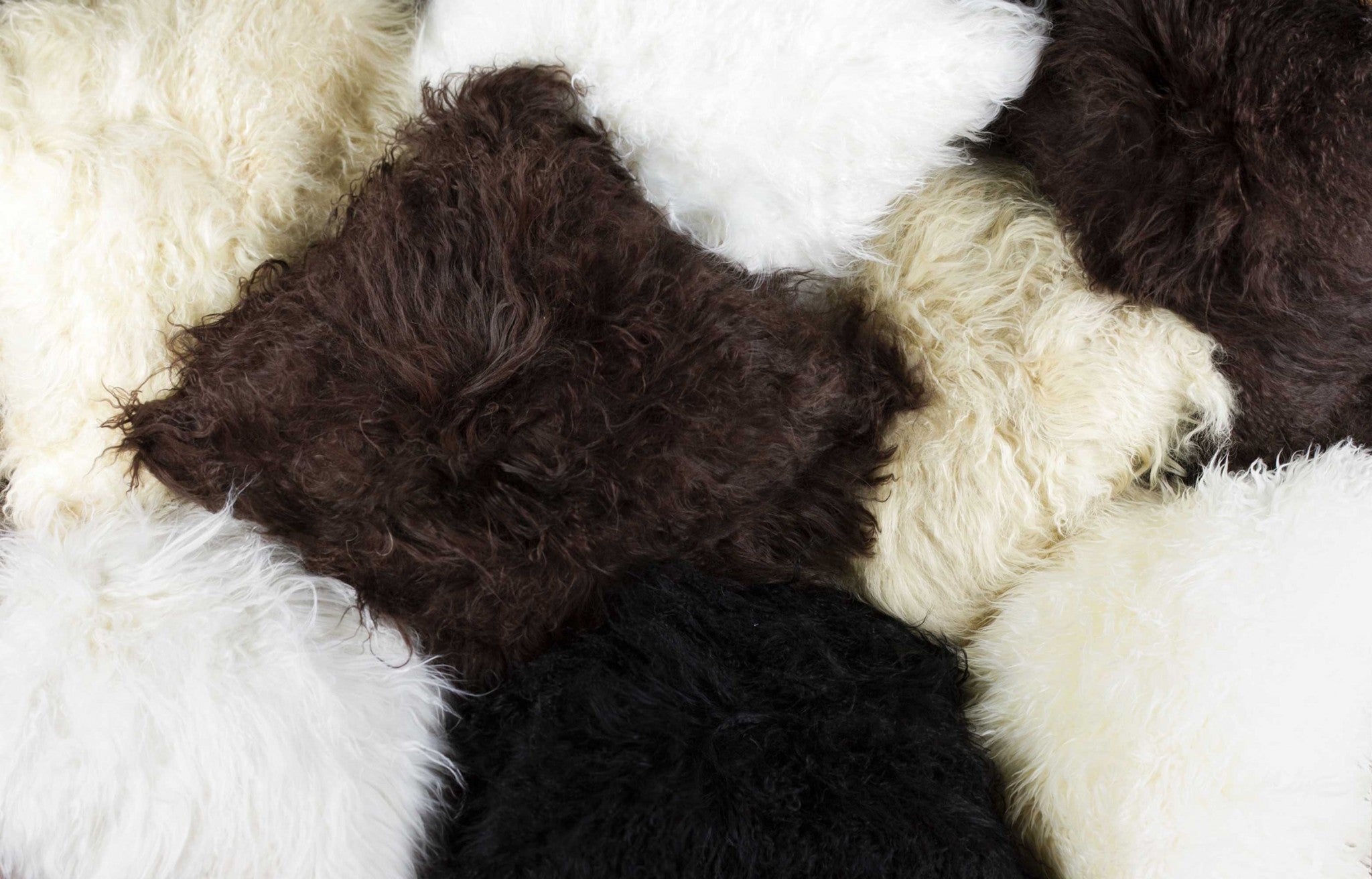 12" x 20" x 5" Black Sheepskin - Pillow