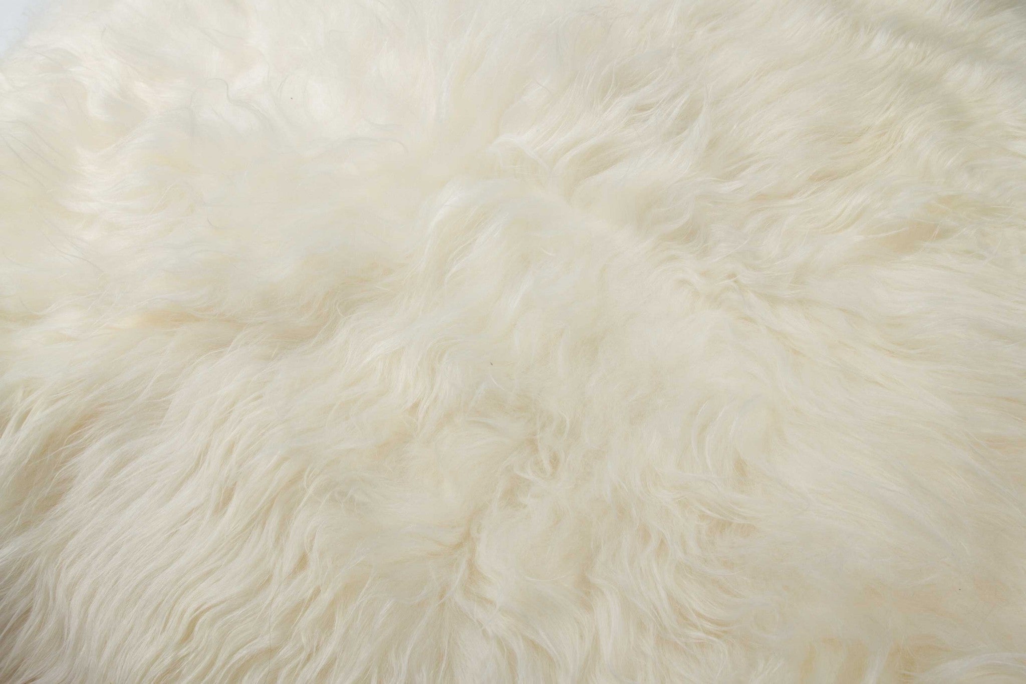 48" x 72" x 2" White Sheepskin Long-Haired - Area Rug