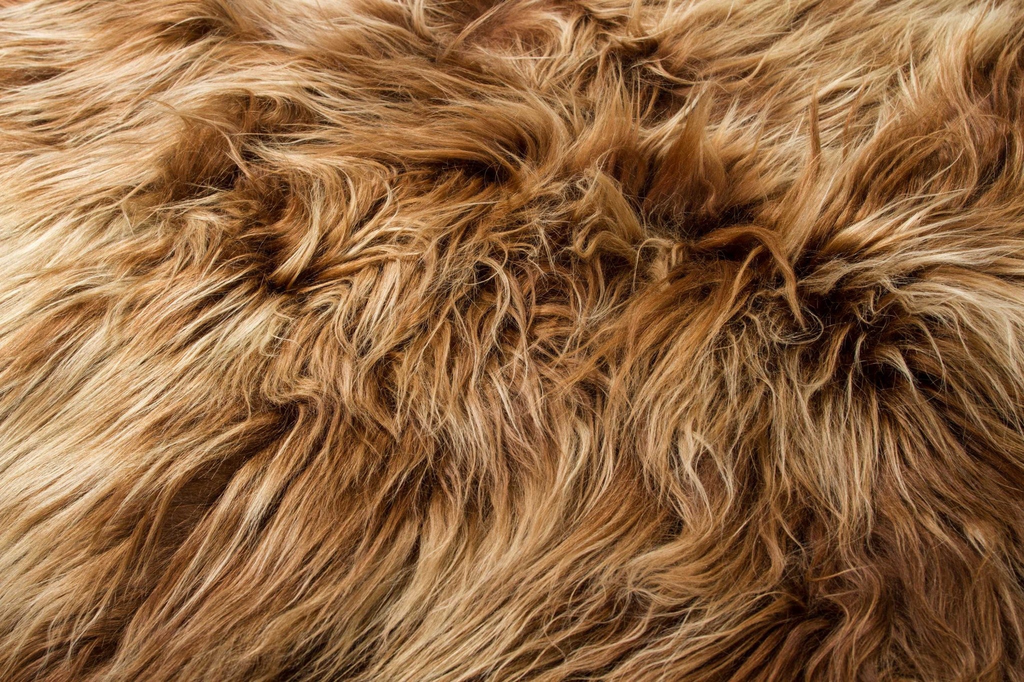 48" x 72" x 2"" Fox Sheepskin Long-haired - Area Rug