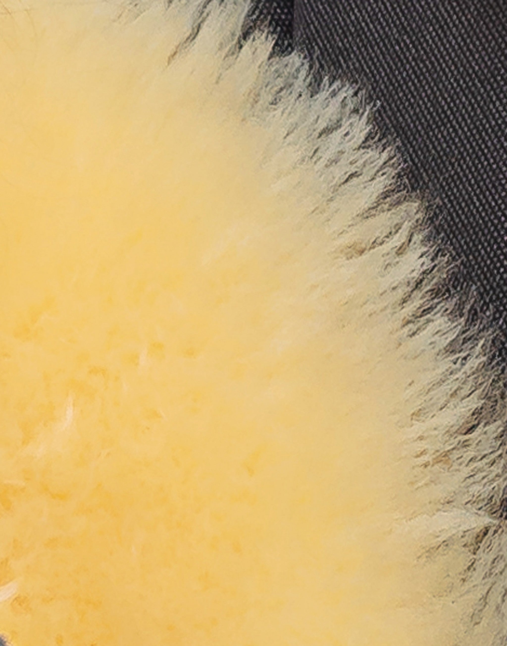 24" x 36" x 2" Cream, Cozy Baby, Medium, Lambskin - Play-Rug