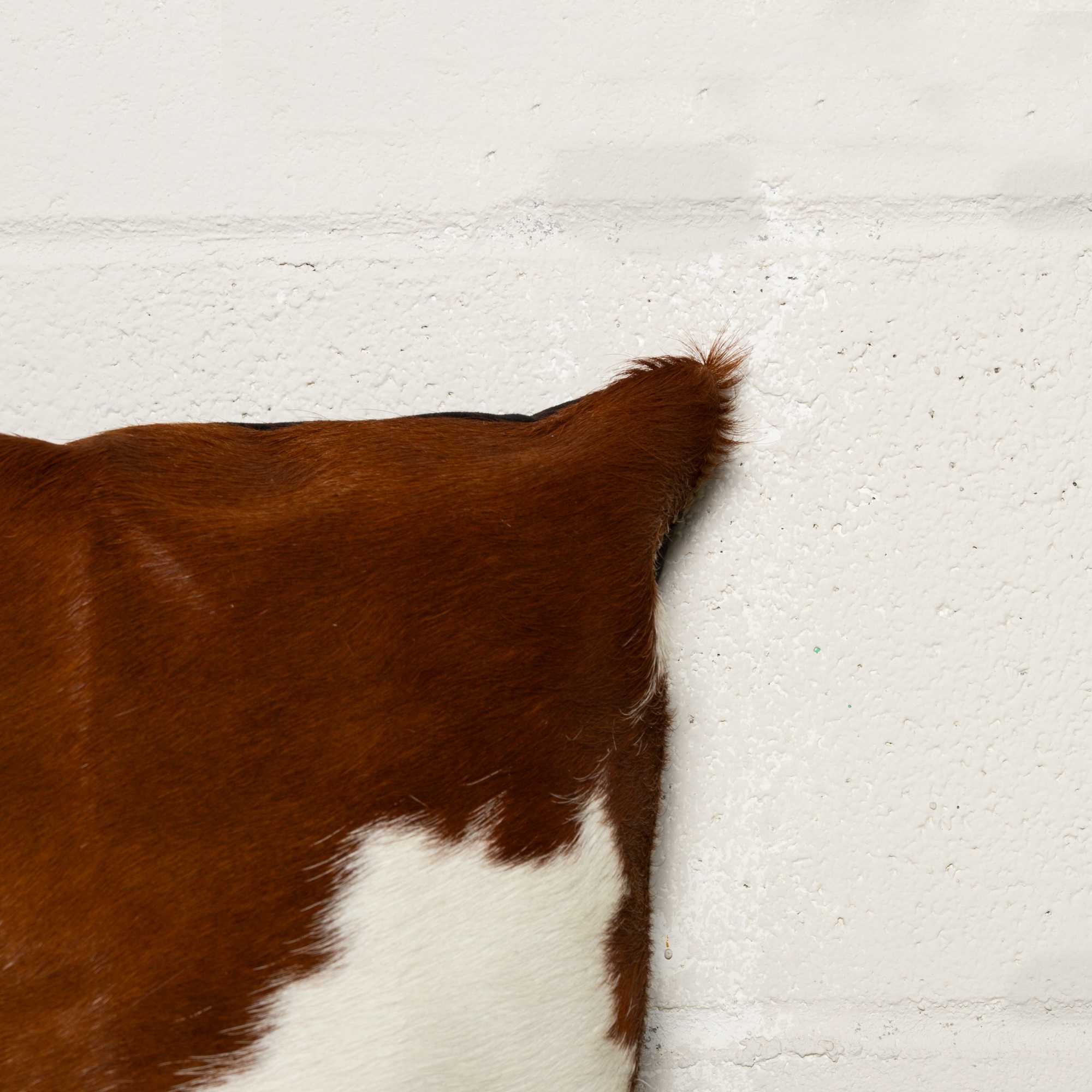 18" x 18" x 5" Brown And White, Cowhide - Pillow 2-Pack