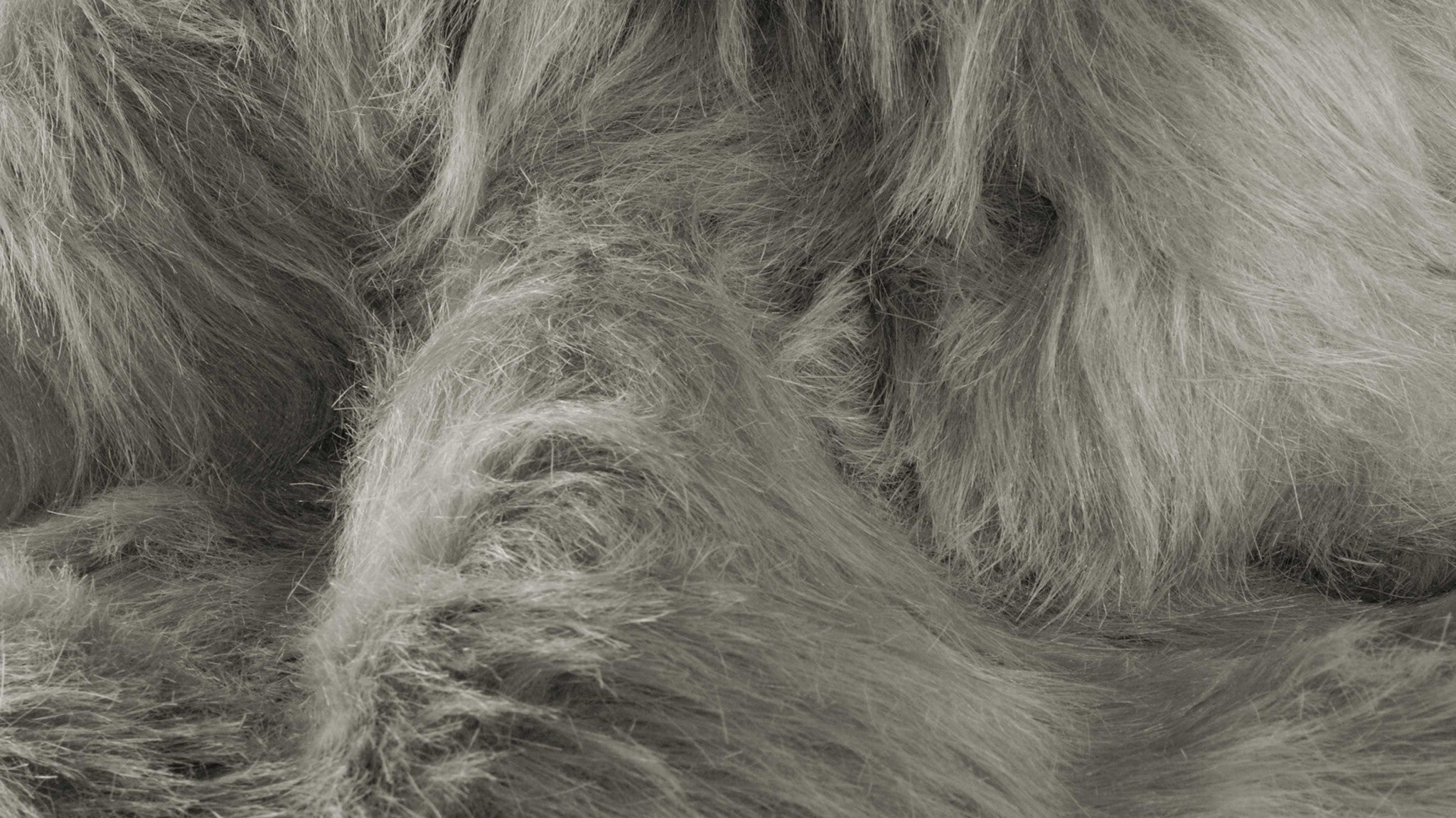 60" x 96" Gray, Sheepskin - Rug/Throw