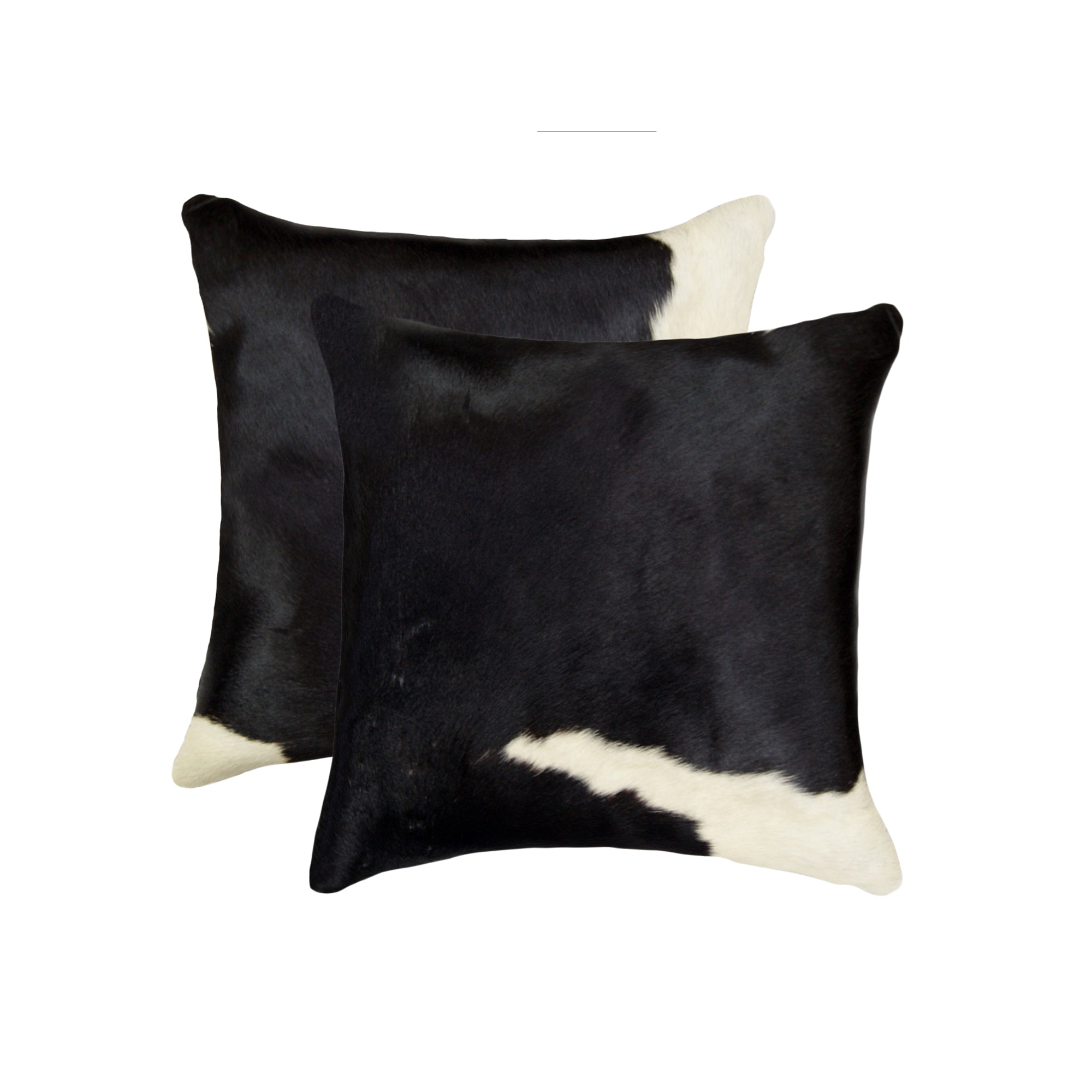 18" x 18" x 5" Black And White - Pillow 2-Pack