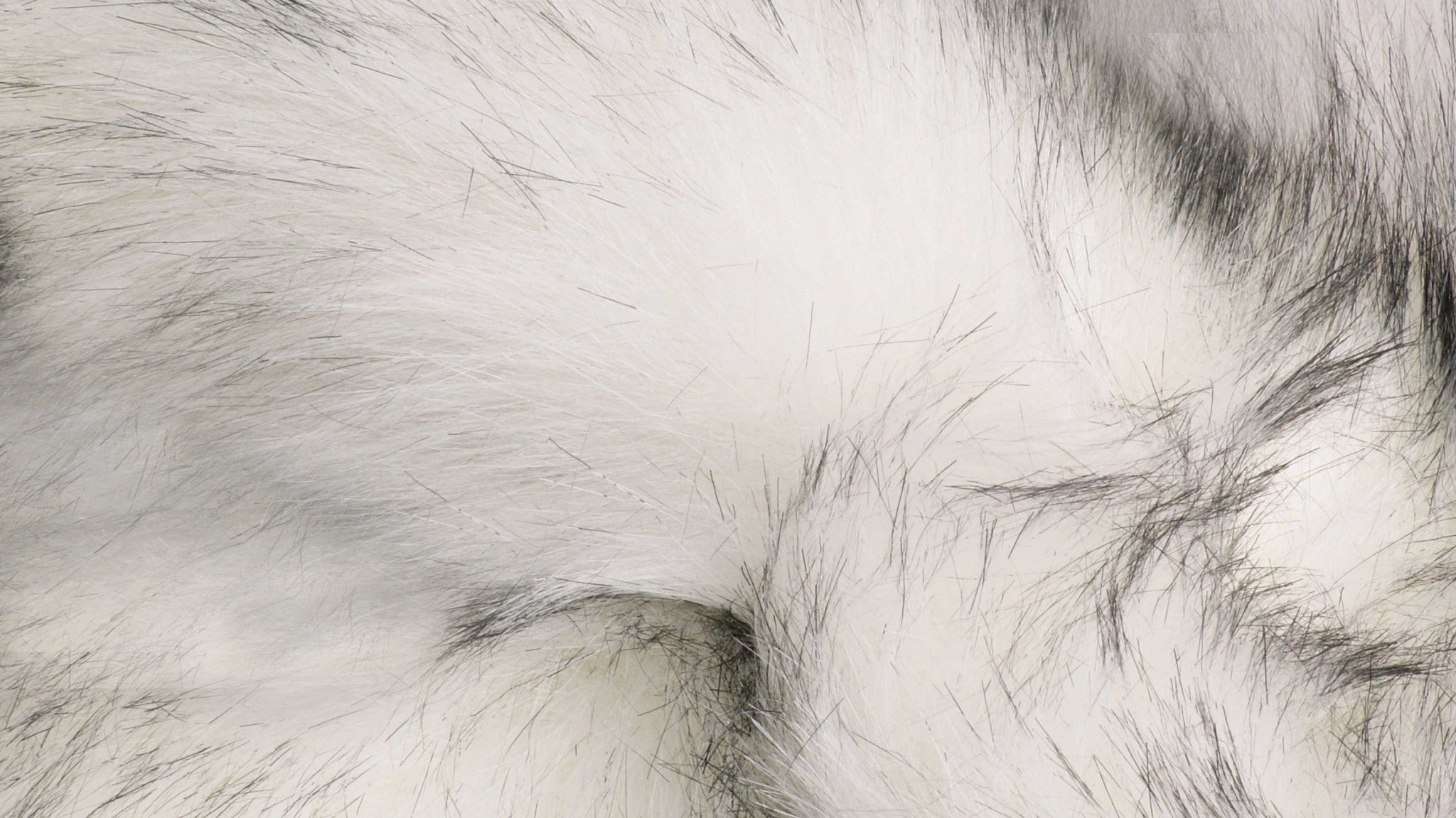 4" x 6" x 1.5" Gradient Gray Faux Sheepskin - Area Rug