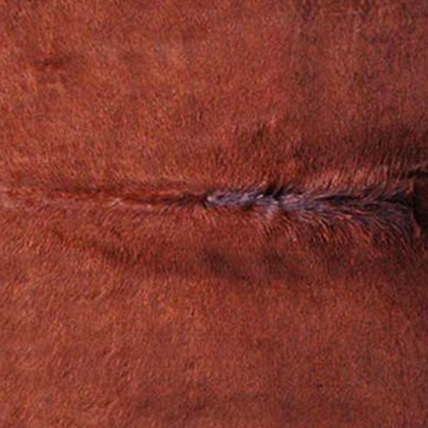 60" x 84" Brown Cowhide - Area Rug