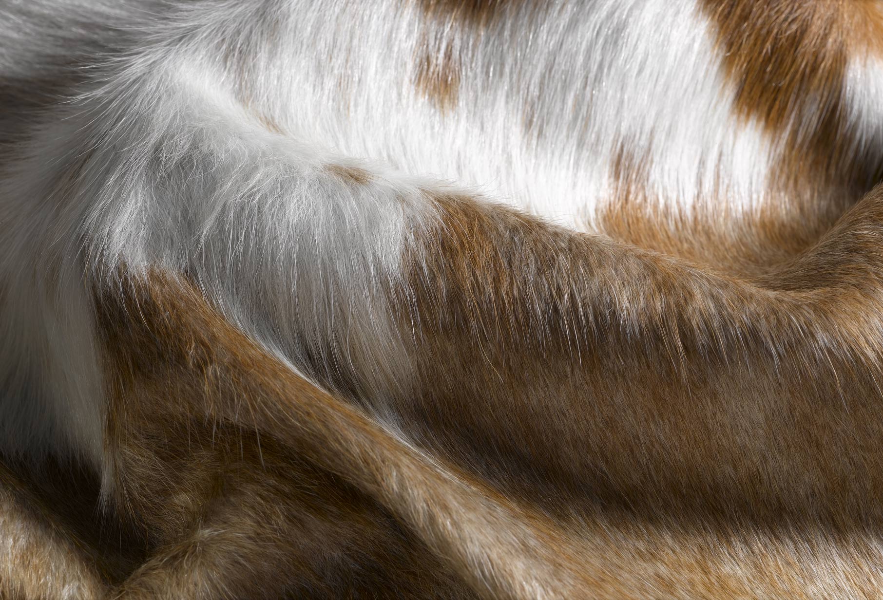 60" x 84" Brown And White Cowhide - Area Rug