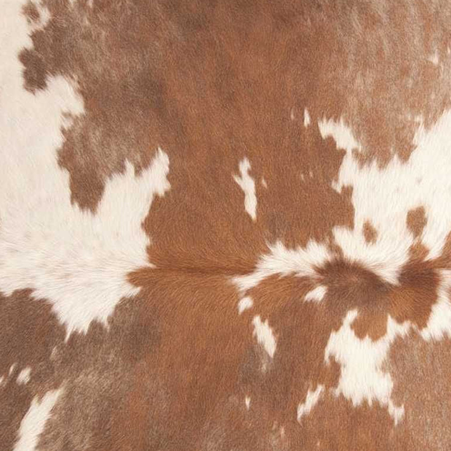 60" x 84" Brown And White Cowhide - Area Rug