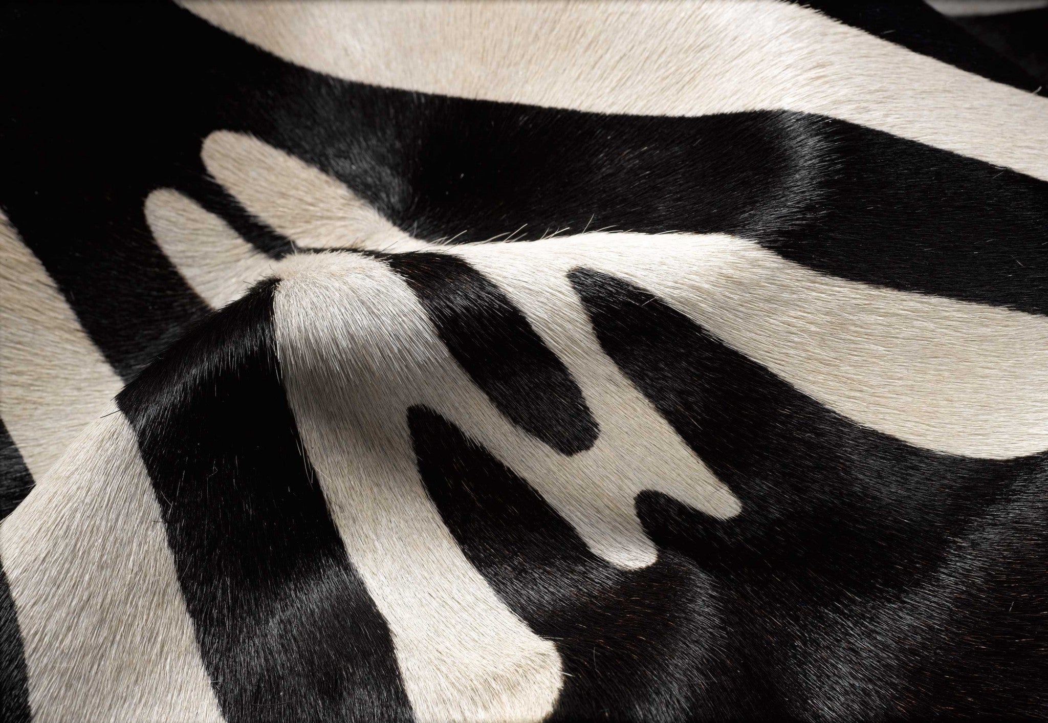 60" x 84" Zebra Black On Off White Cowhide - Area Rug
