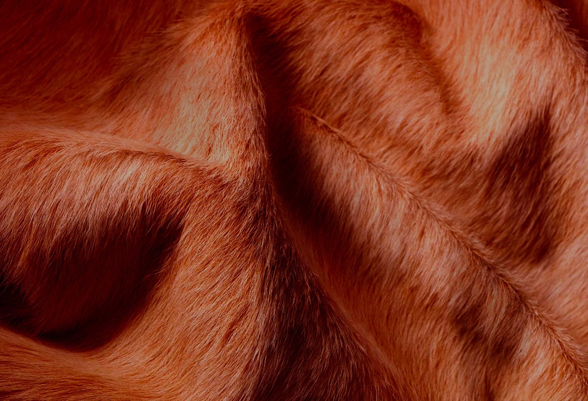 72" x 84" Brown Cowhide  Rug