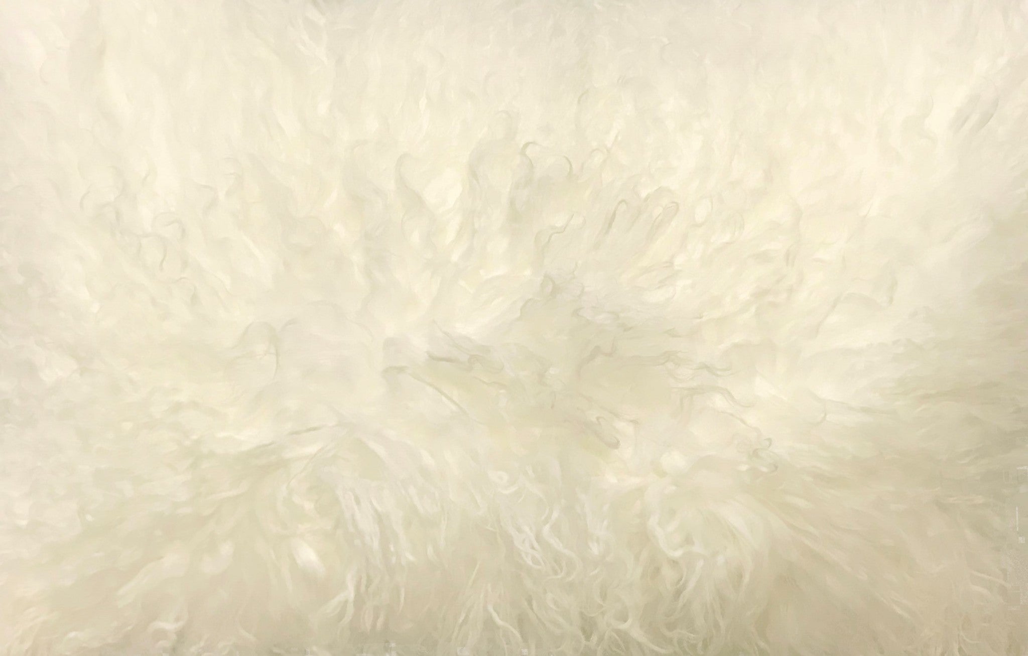 17" Creamy Genuine Tibetan Lamb Fur Pillow with Microsuede Backing