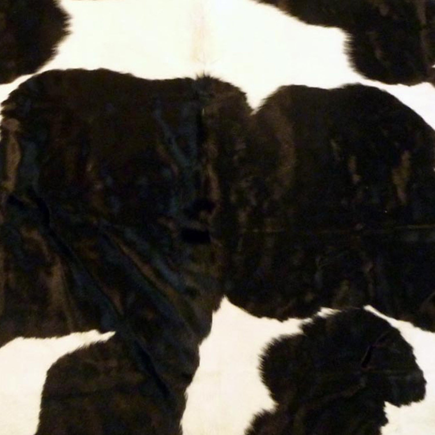 5.5 Ft  Holstein Brindled Cowhide Rug