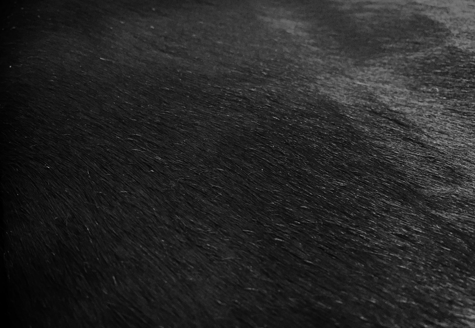 5.5 Ft  Natural Black Brindled Cowhide Rug