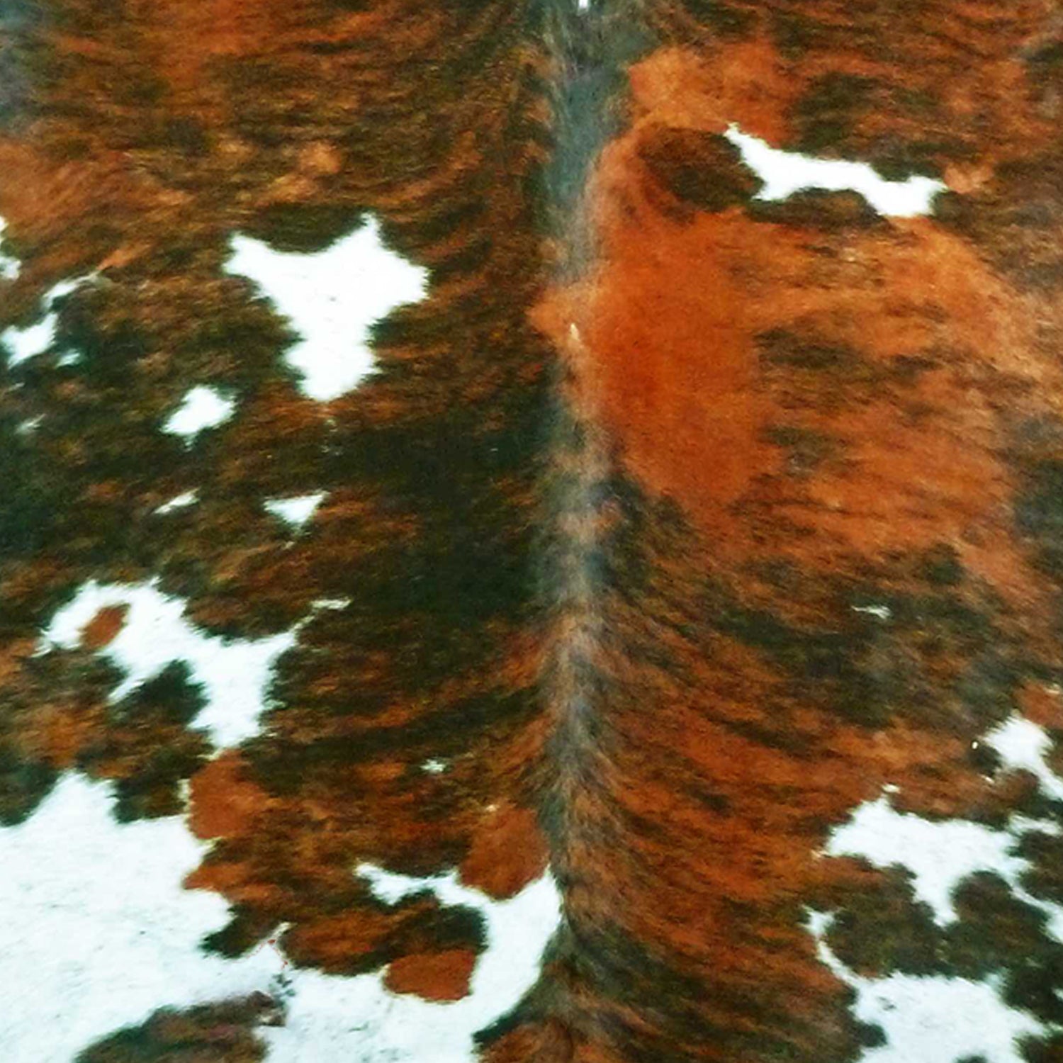 5.5 Ft  Tri-Colored Brindled Cowhide Rug