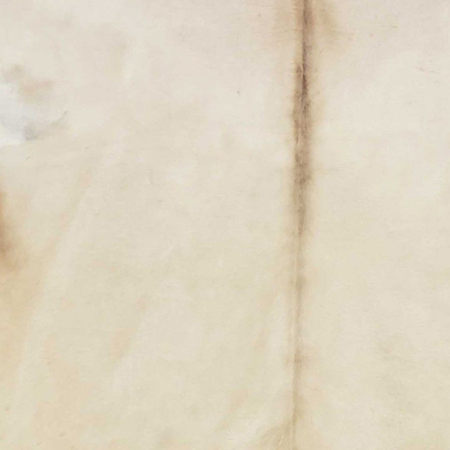 5.5 Ft  Champagne Brindled Cowhide Rug