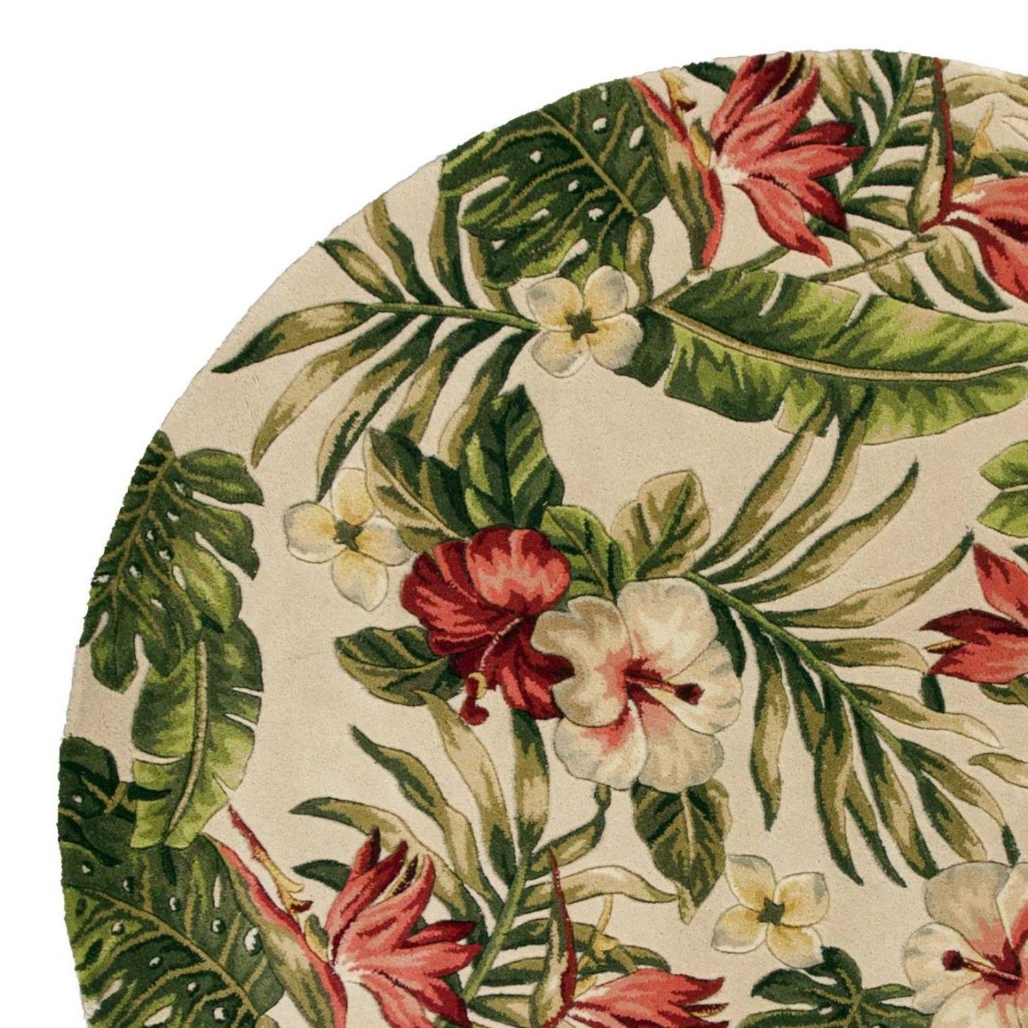 5' Round  Wool Ivory  Area Rug