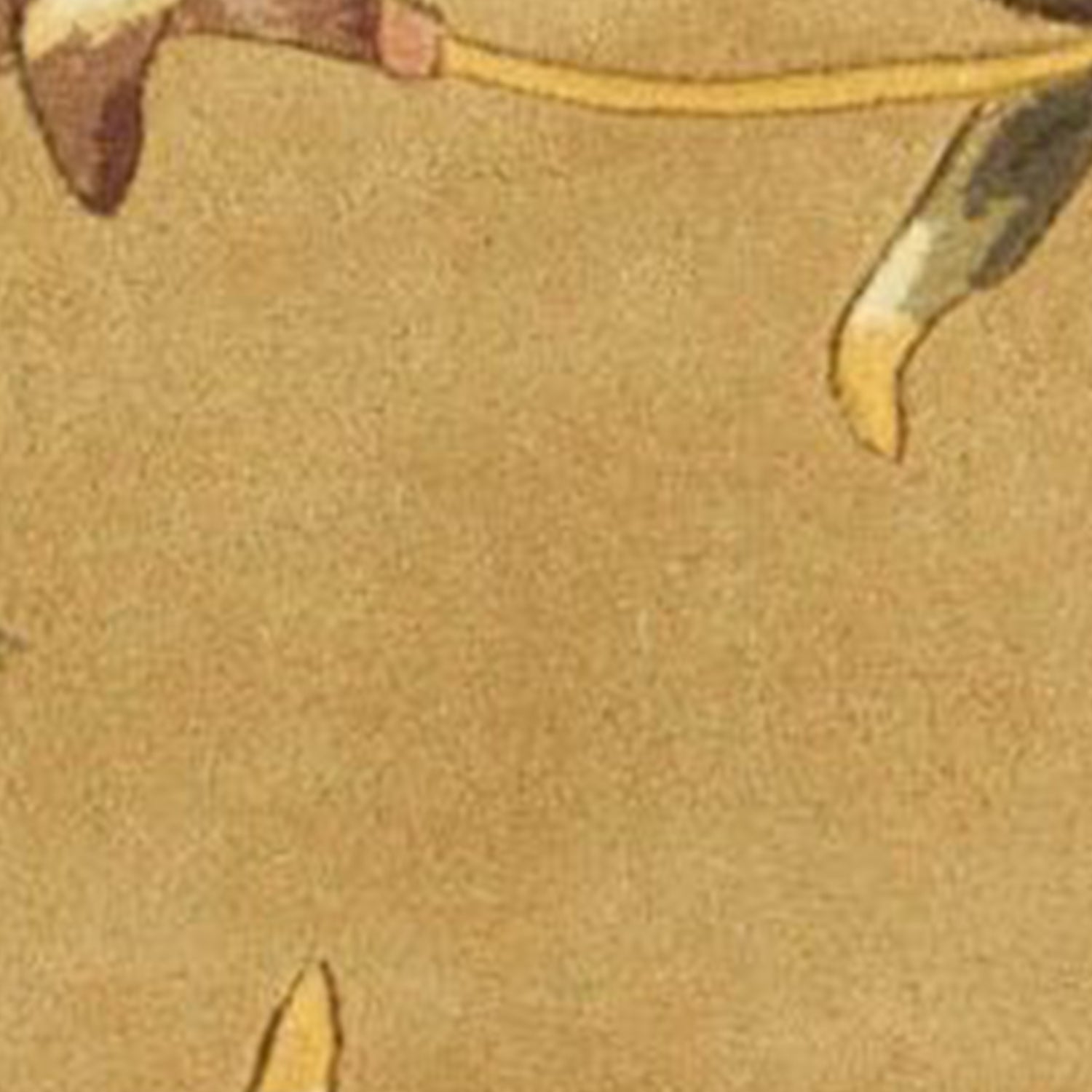 5' Round  Wool Gold Area Rug