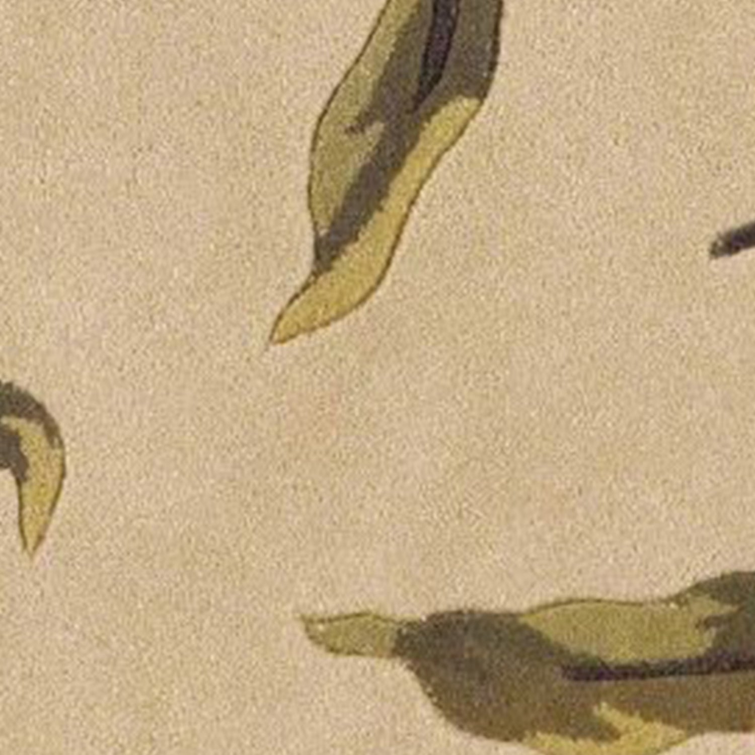 5' Round  Wool Ivory  Area Rug