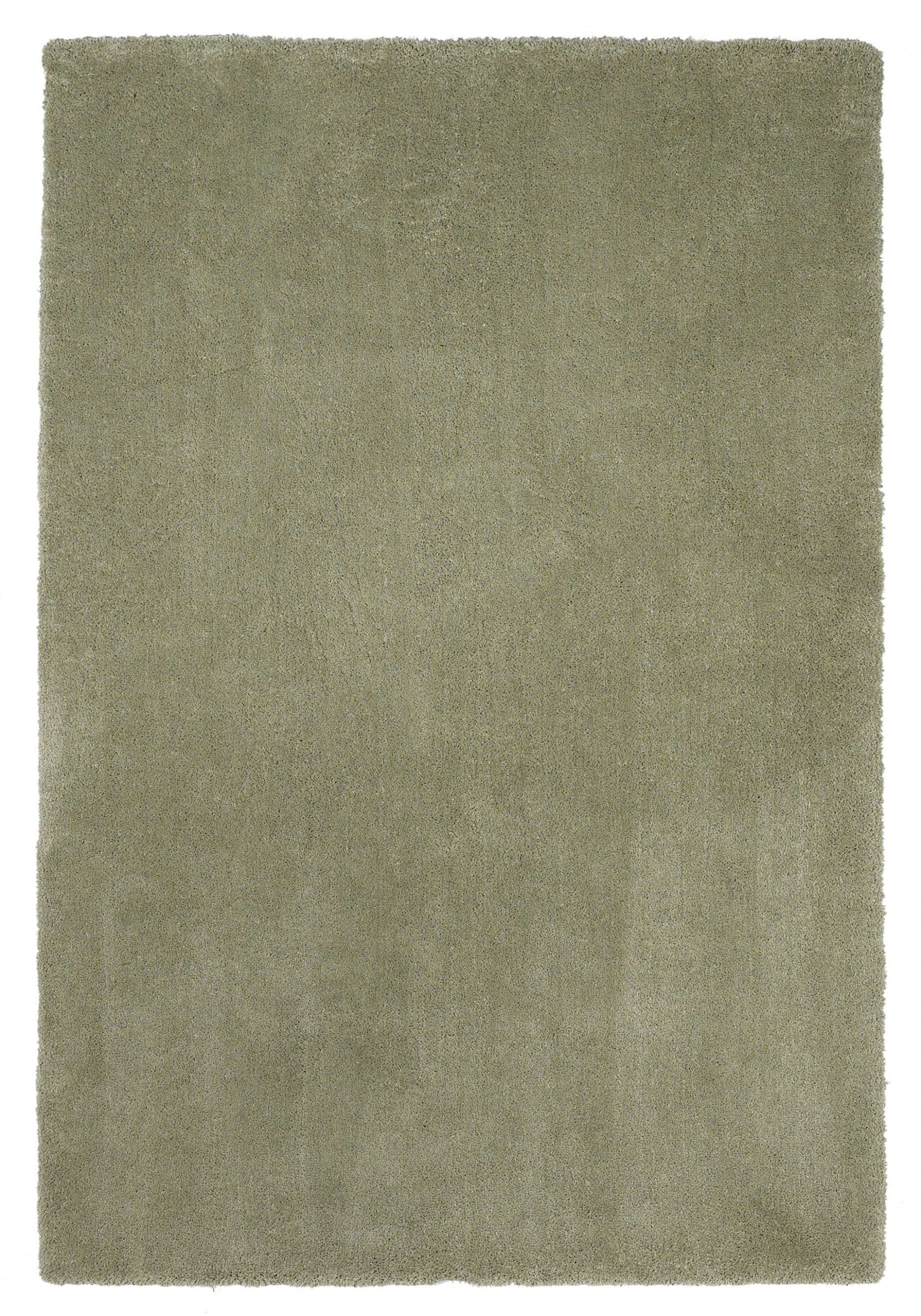 5' x 7'  Polyester Sage Area Rug
