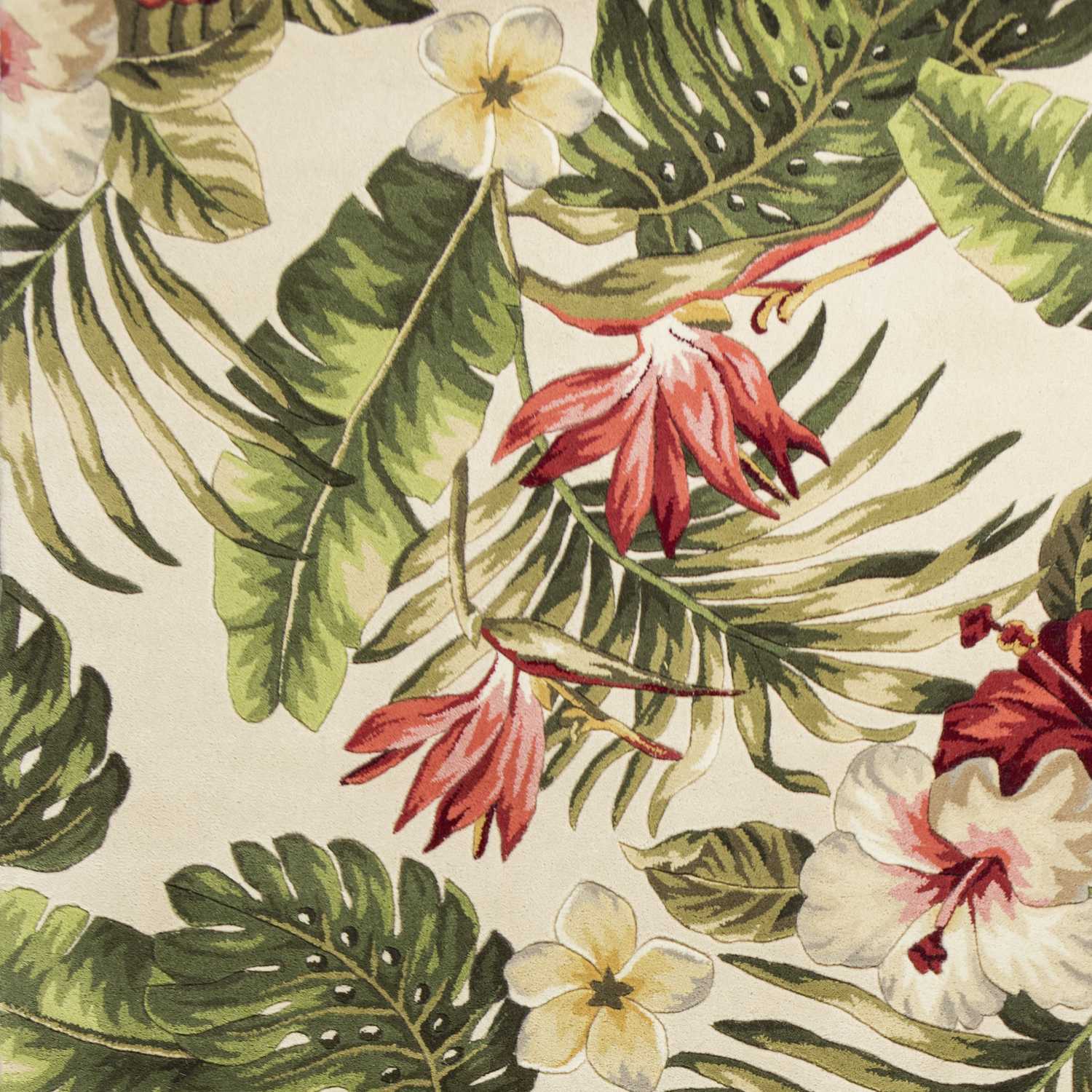 3' x 5' Wool Ivory  Area Rug