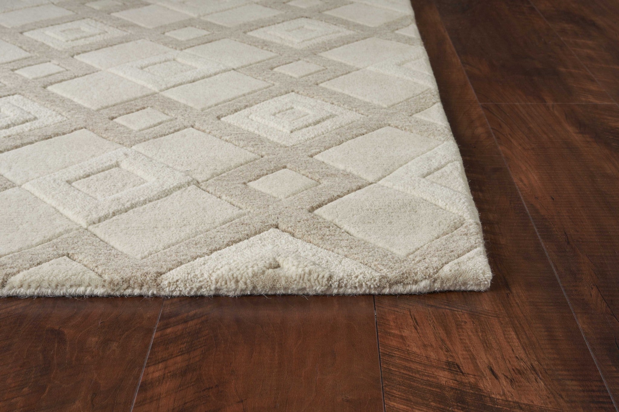 27" X 45" Wool Ivory  Area Rug