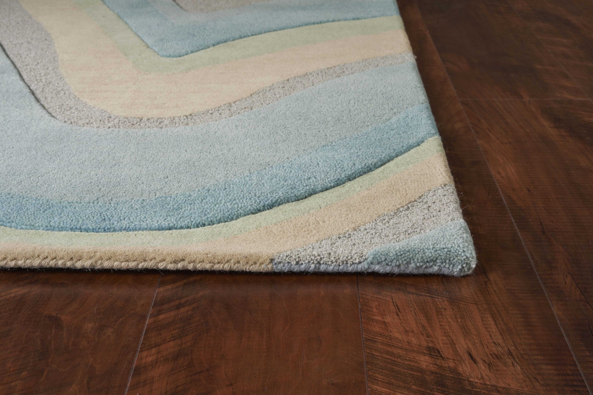 27" X 45" Wool Ocean Area Rug