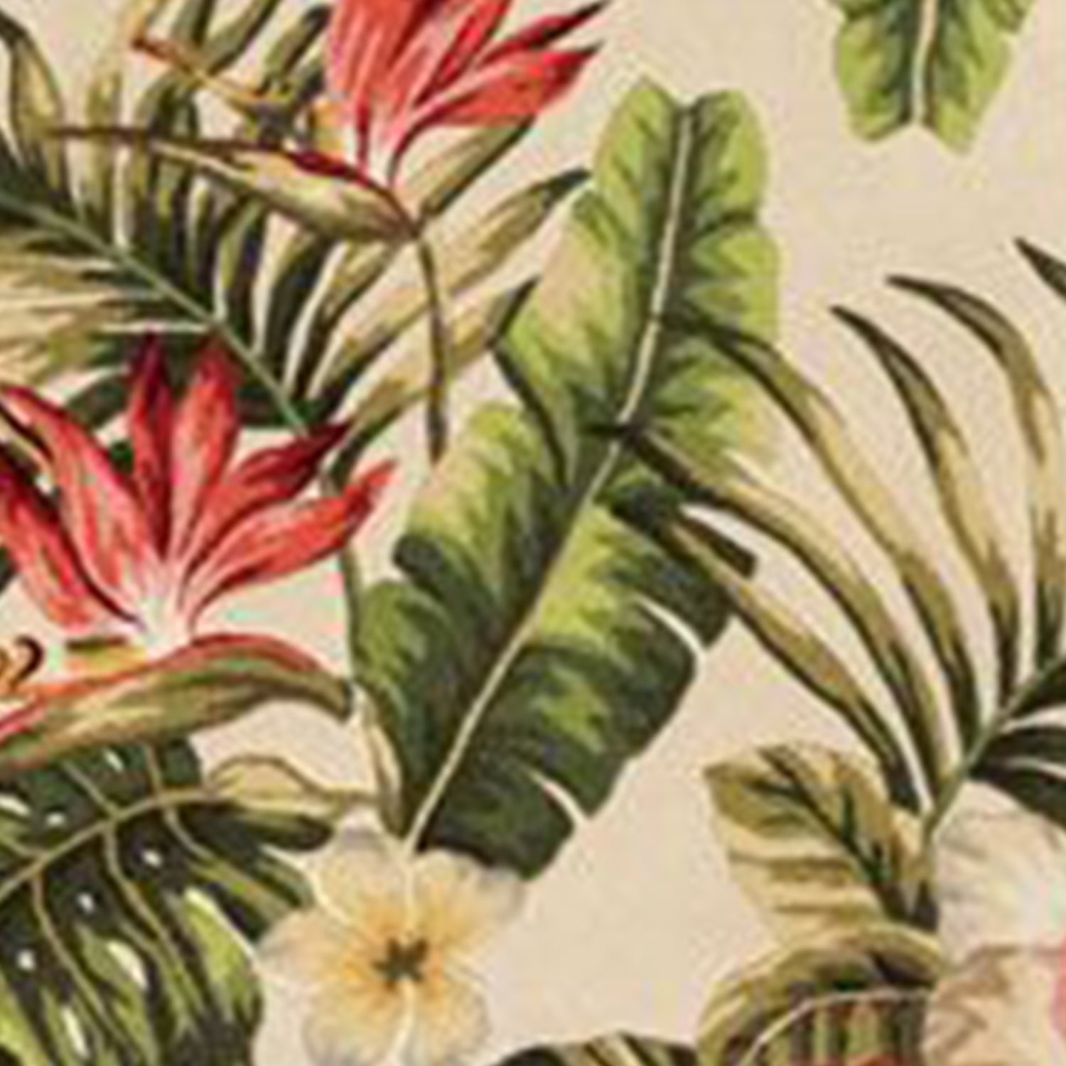 30" x 50" Wool Ivory  Area Rug