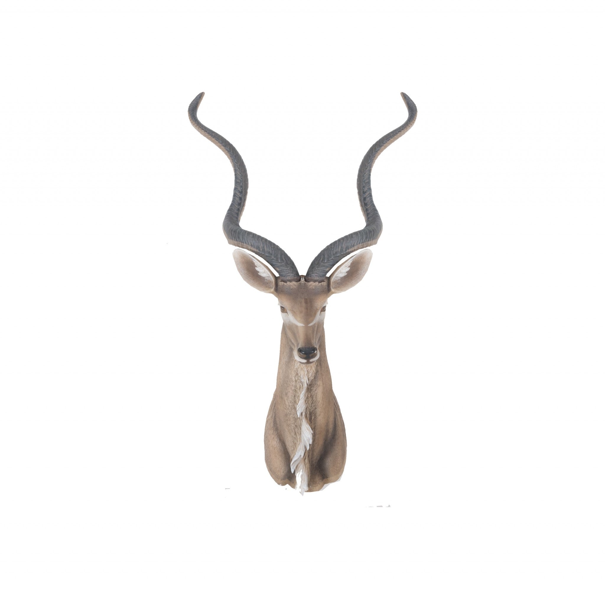 13" x 9" x 33" Antelope Head Wall Decorative