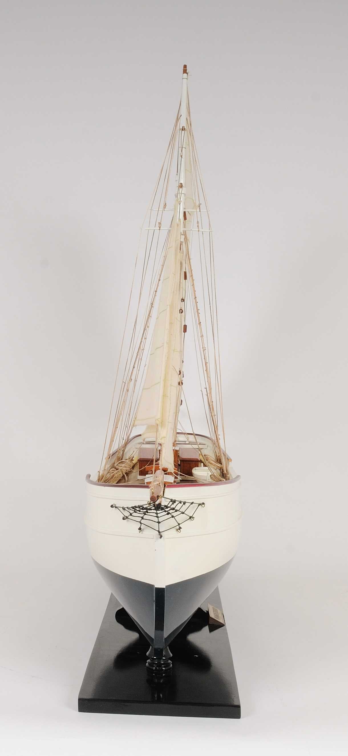 7" x 38" x 29" WanderBird