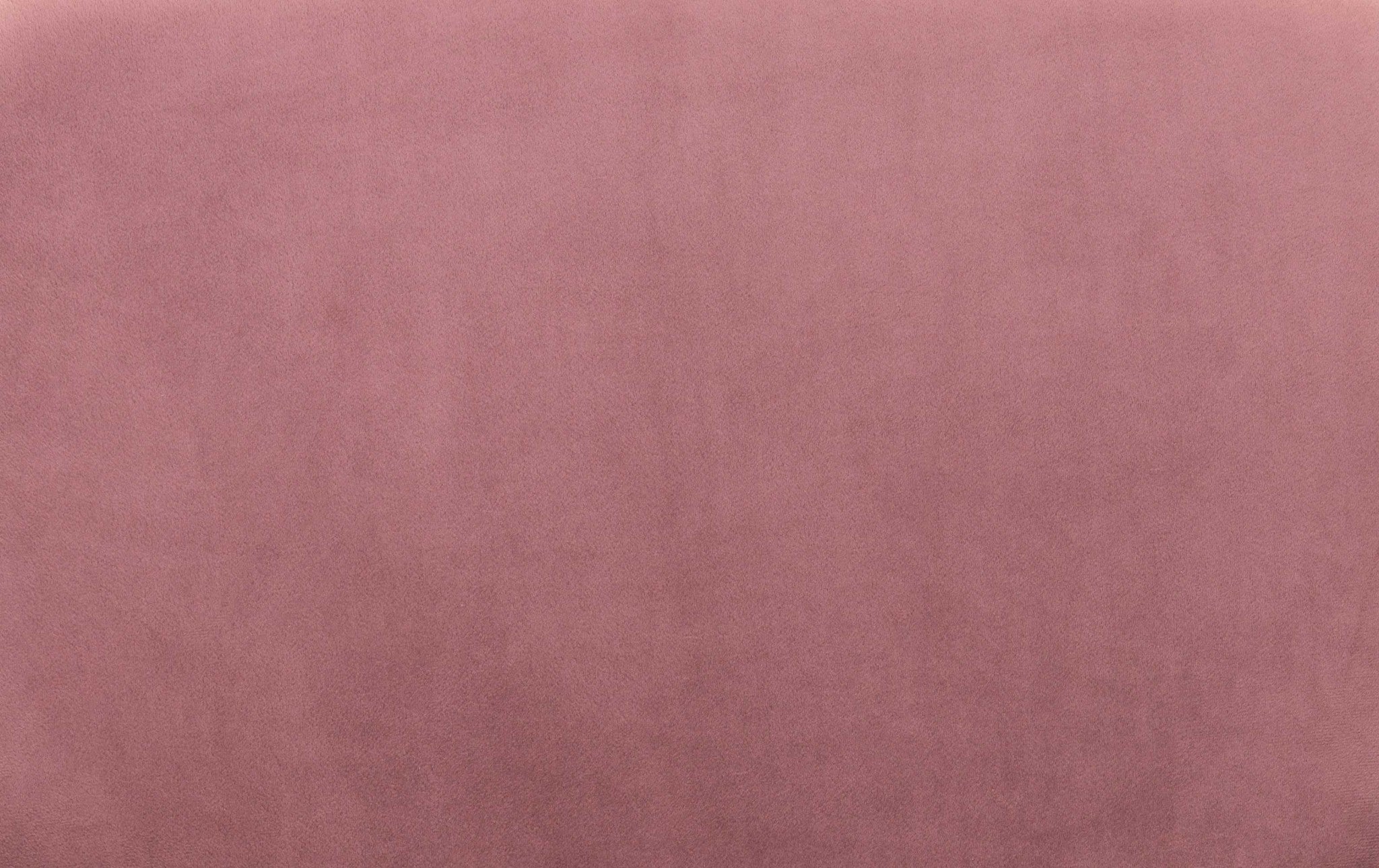 19.7" x 24.2" x 33.5" Pink Velvet Steel Dining Chair