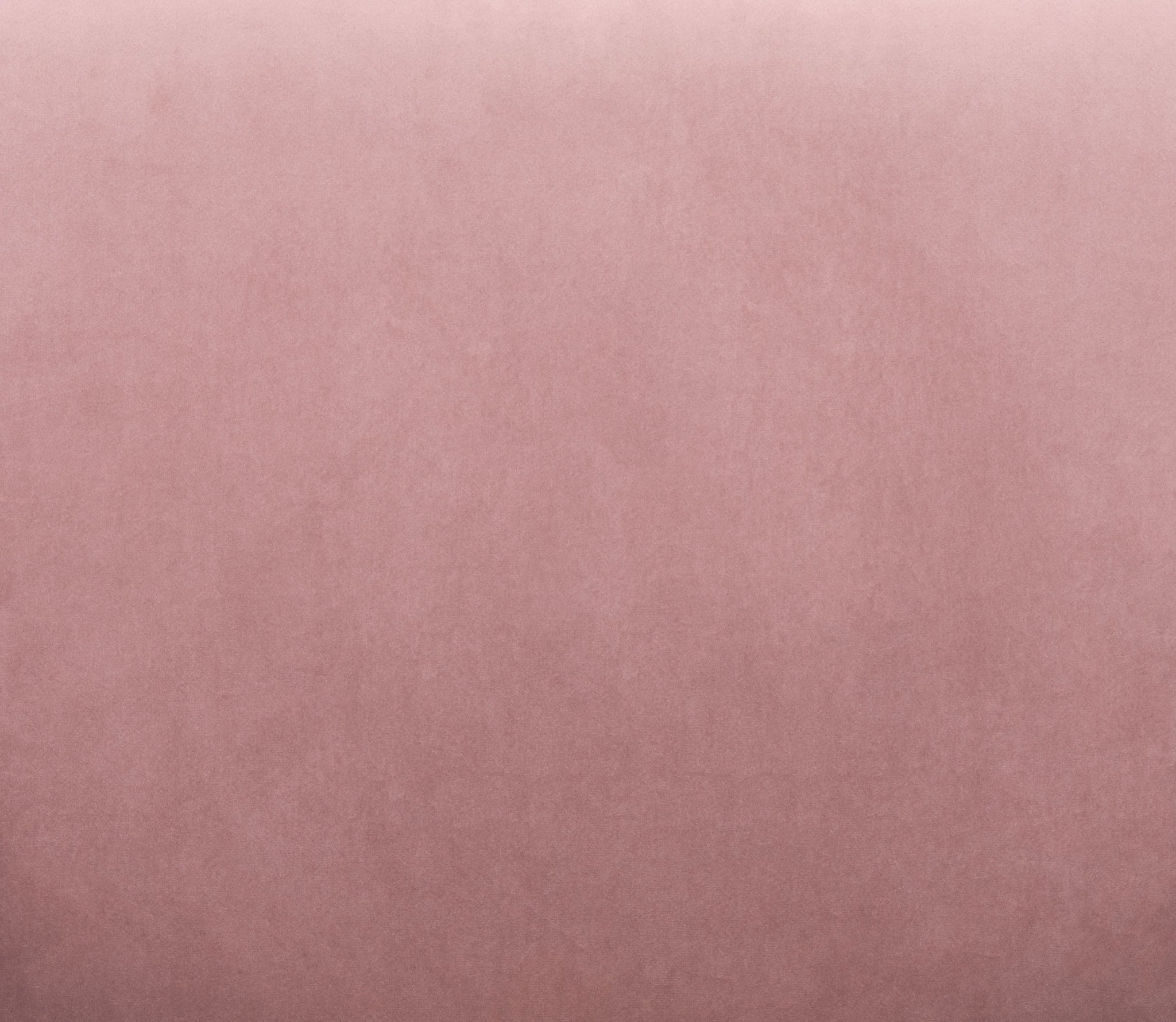 19.7" x 21.9" x 35.8" Pink & Gold, Velvet, Steel & Plywood, Chair - Set of 2