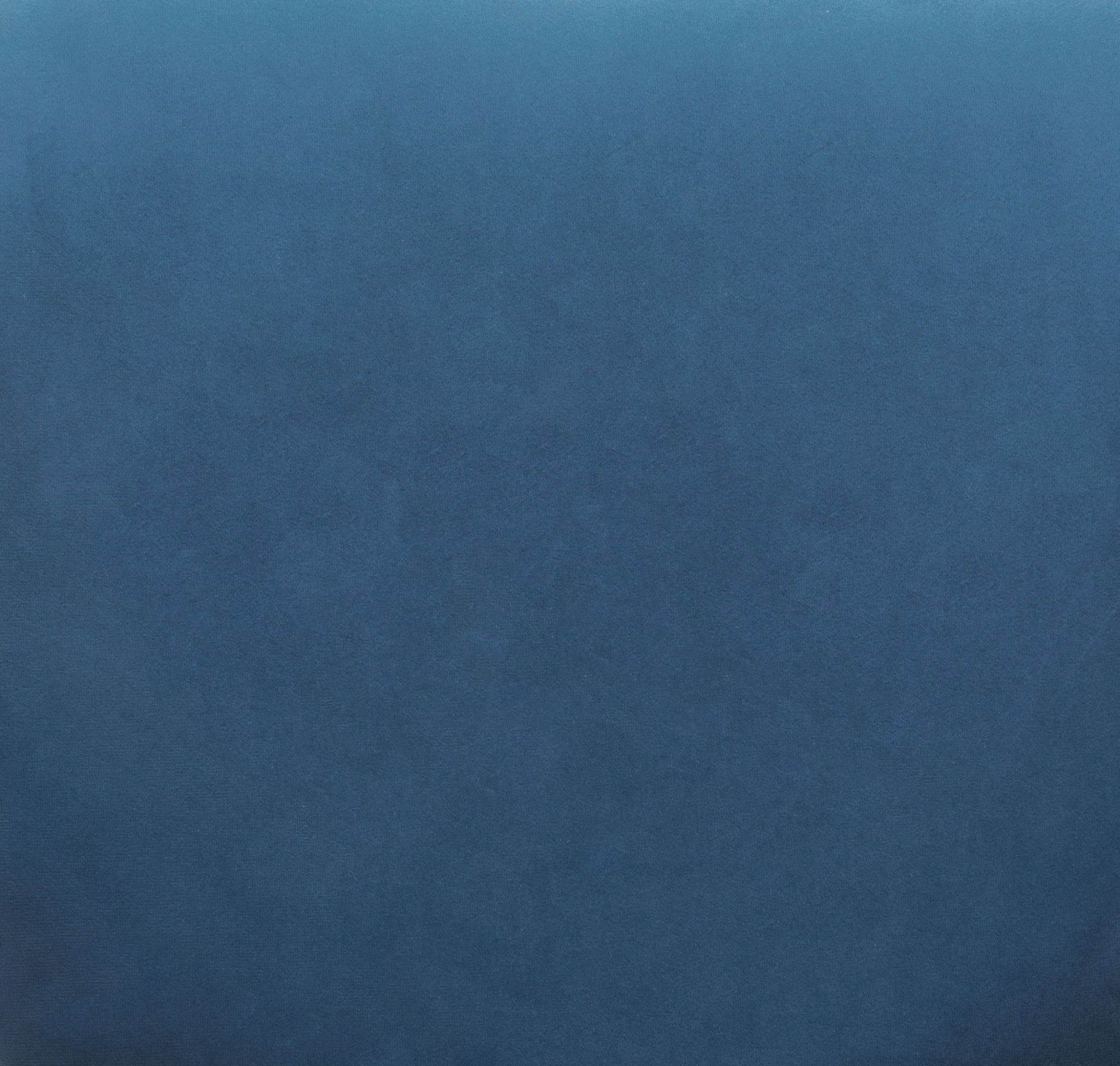 22.8" x 22.8" x 31.1" Blue & Black, Velvet, Steel & Plywood, Chair - Set of 2