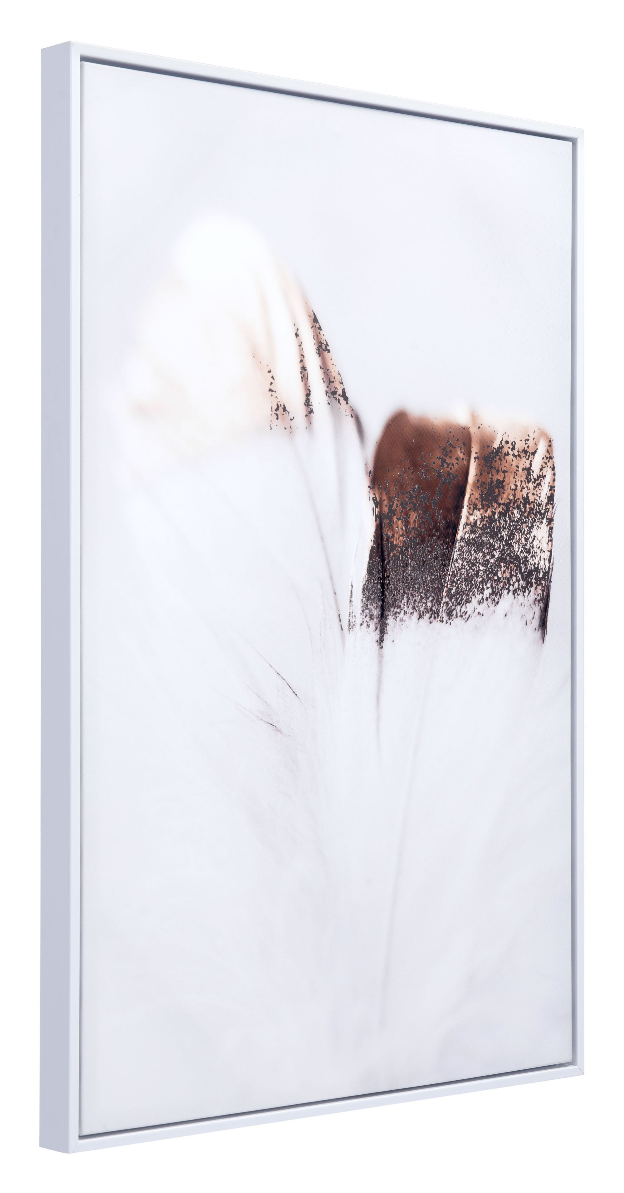 Gold and White Angel's Feathers Canvas in Pinewood Frame