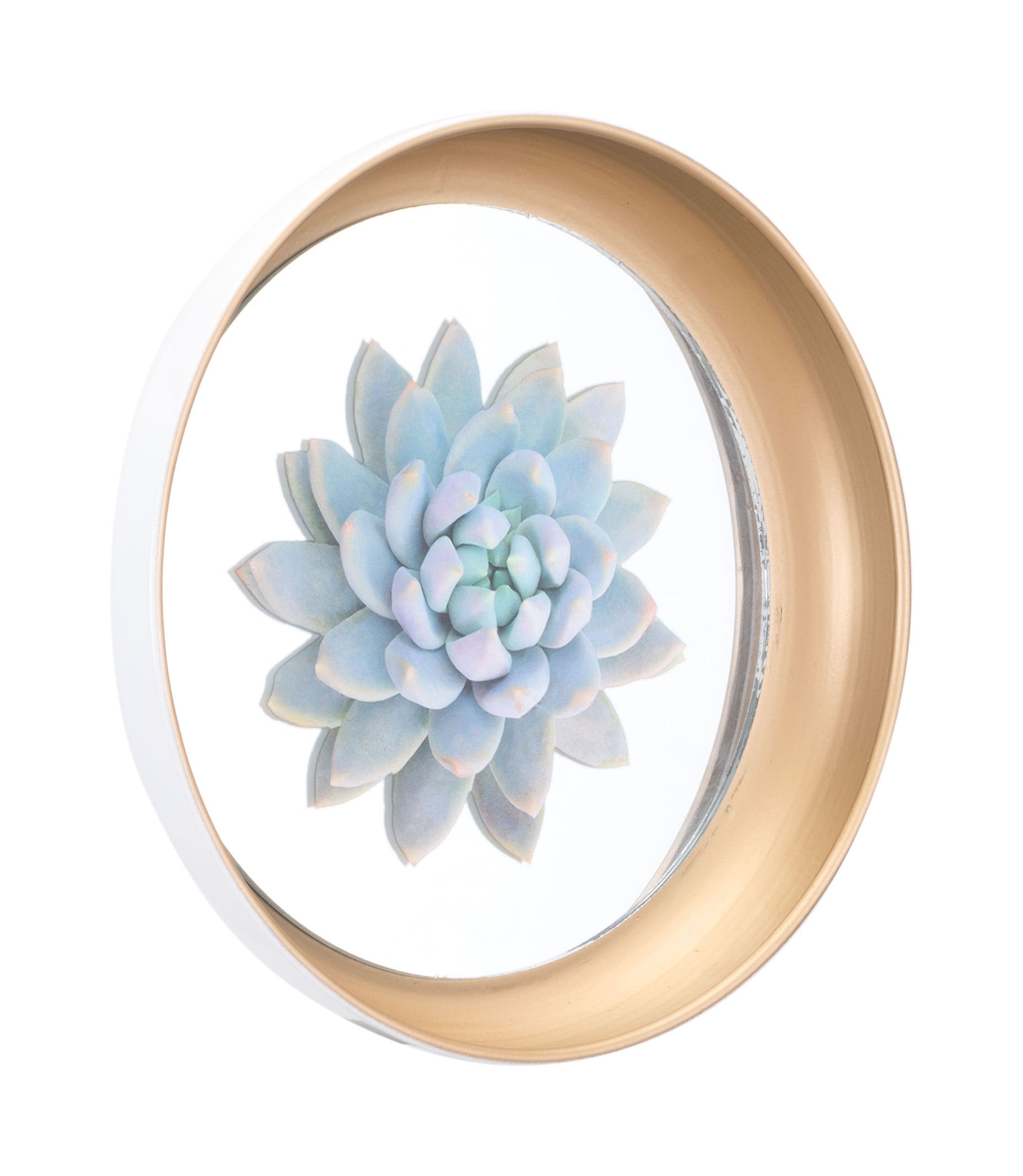 9.8" x 2" x 9.8" Multicolor, Steel & Glass, Plates - Set of 4