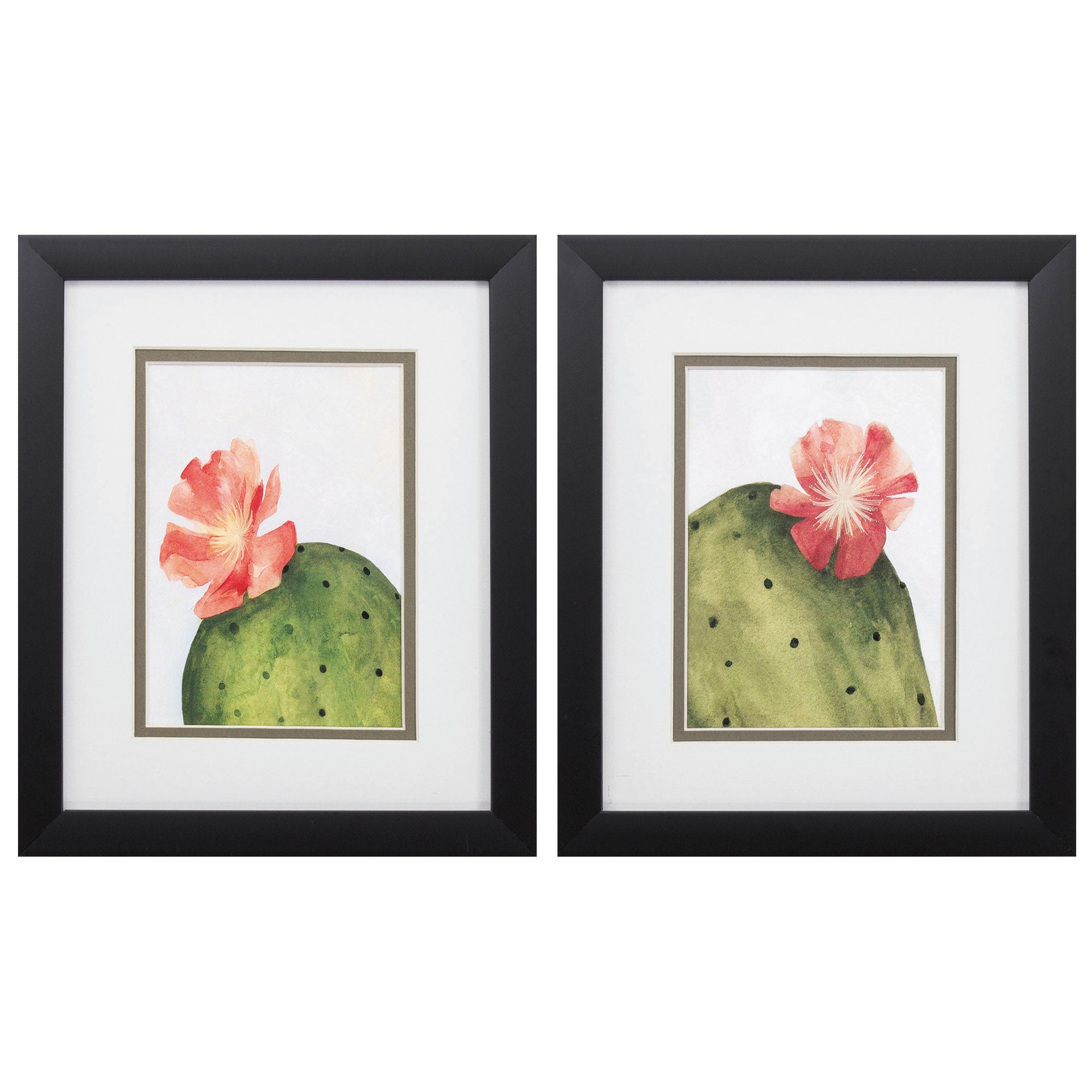 9" X 11" Silver Frame Arid Bloom (Set of 2)